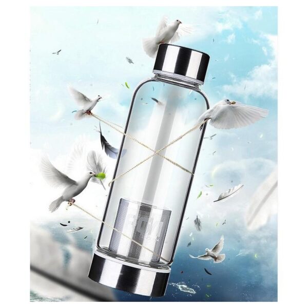 31595 - Бутылка для воды с емкостью для заварки чая Fu Guang WFB5002